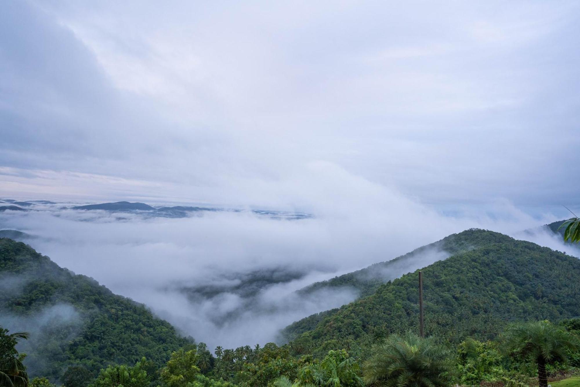 Mount Stratus Resort Vayalada Balussery Ngoại thất bức ảnh